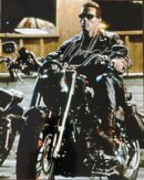 "Arnold Schwarzenegger" Autographed Photo 8x10